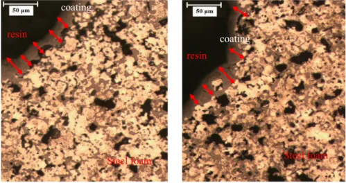 Fig. 3    Cross-sectional surface microstructure of pore wall of the CMC/Chitosan-α-Fe 2 O 3  NPs coating on 