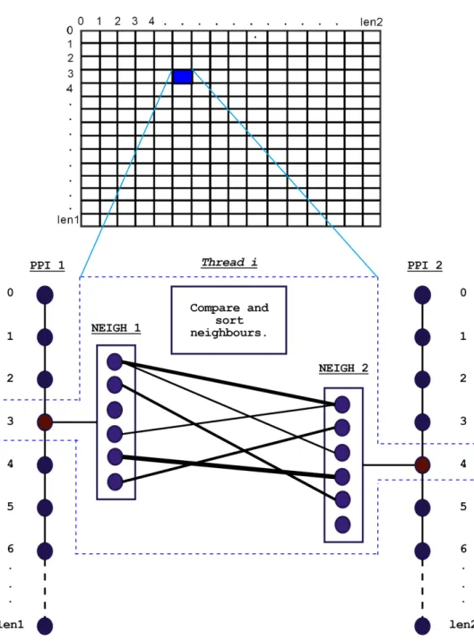 Figure	16:	Graphical	Representation	of	how	Threads	handle	the	PPI-Network	 arrays. 