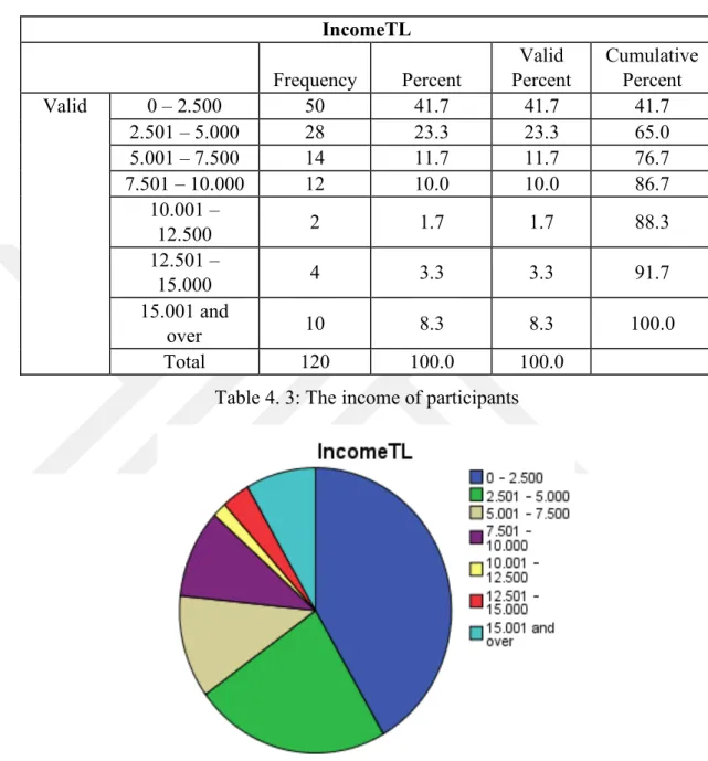 Table 4. 3: The income of participants 