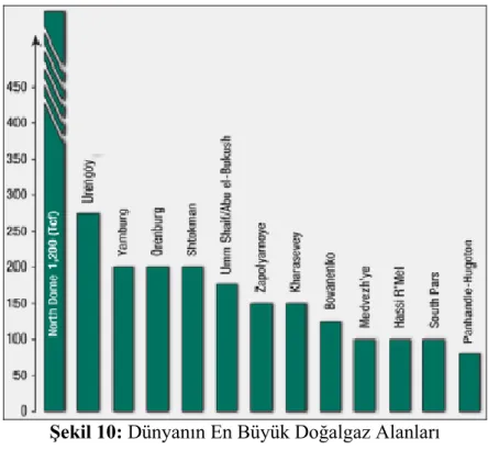 Şekil 10: Dünyanın En Büyük Doğalgaz Alanları 