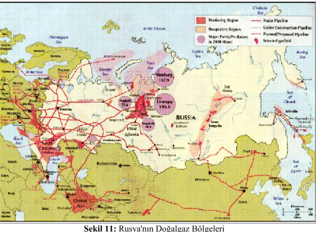 Şekil 11: Rusya'nın Doğalgaz Bölgeleri 