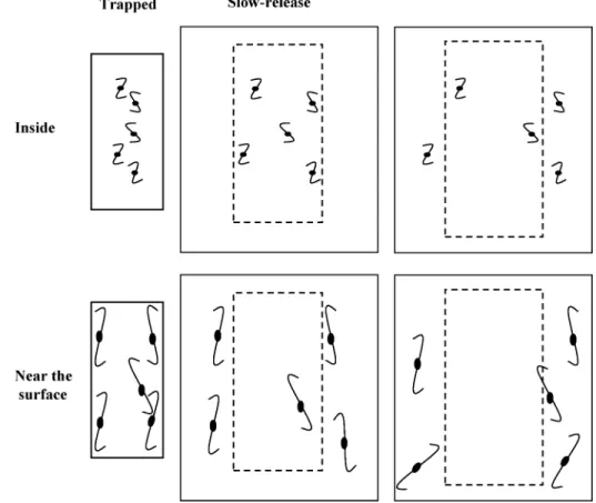Figure 6. Cartoon representation of Py-PSt chains after loading into PSt gel. In the first column, low