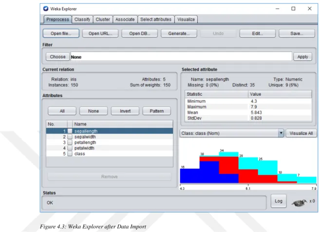 Figure 4.3: Weka Explorer after Data Import 