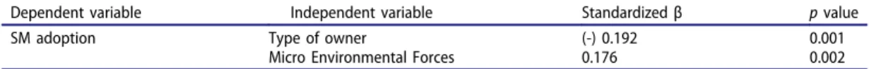 Figure 1. Social media adoption dimensions.