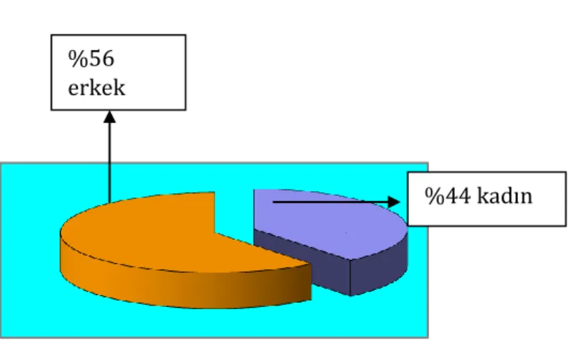 Grafik 3.1: Katılıncıların Cinsiyet Dağılım Grafiği 