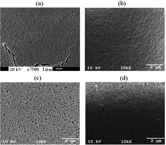 Figure 10 shows SEM images of thick and thin PS templates annealed at 1008C and 2808C for 10 min, respectively