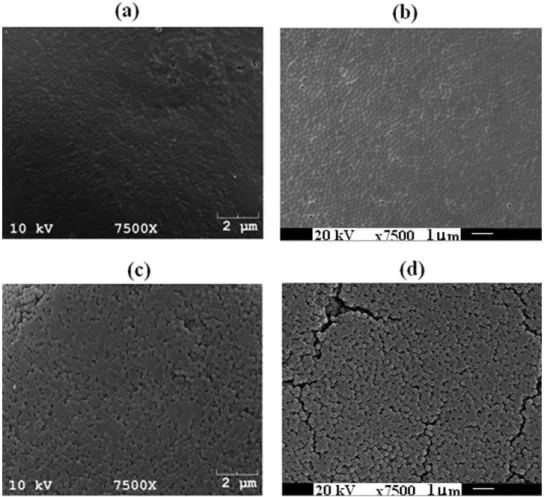 Figure 16 shows the SEM images of the thin films af- af-ter dissolution. As shown in Fig