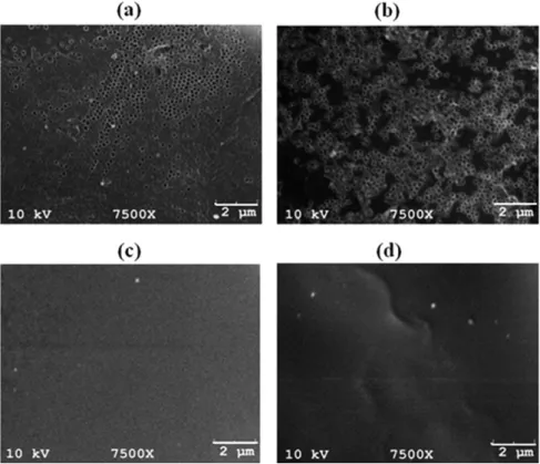FIG. 15. SEM images of the thick PS/TiO 2 films after extraction of PS template with toluene coated with (a) 5, (b) 8, (c) 10, and (d) 12 TiO 2 layers.