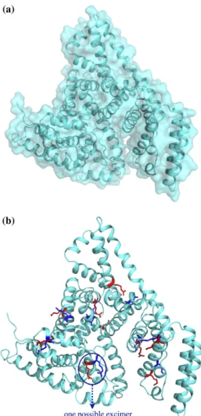 Figure 3. Distance calculations between side chain atoms in an Arg-Lys residue pair, given in Å.