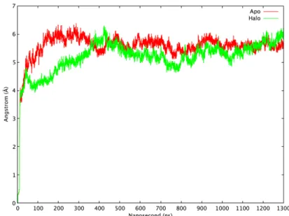 Figure 3.1 The RMSD plot of apo and halo simulations. Apo (ligand-free) is represented by the red line, halo (ligand-bound) is represented by the green line.