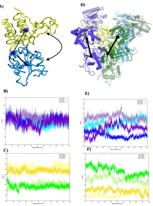 Figure 3.4 Intra/Inter-domain motions analysis of LBD. (A) Visual representation of LBD clamshell of one subunit