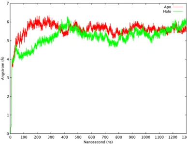 Figure 3.1 The RMSD plot of apo and halo simulations. Apo (ligand-free) is represented by the red line, halo (ligand-bound) is represented by the green line.