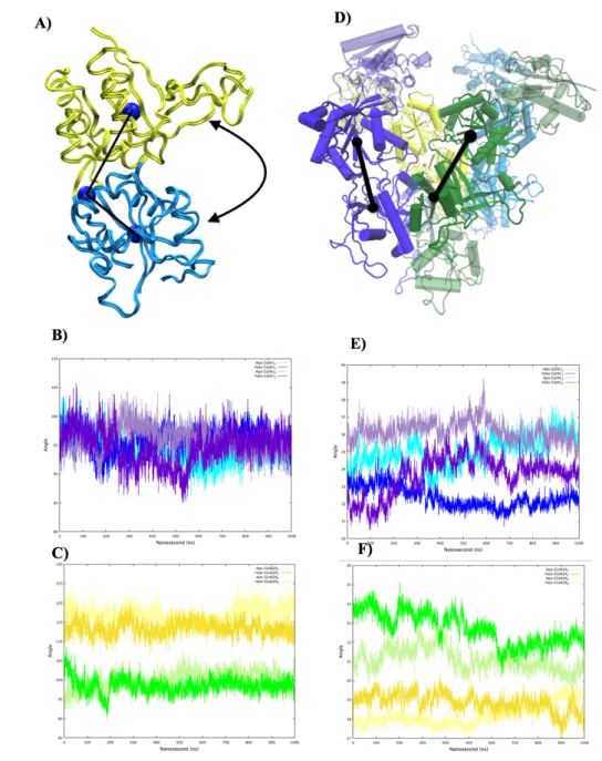 Figure 3.4 Intra/Inter-domain motions analysis of LBD. (A) Visual representation of LBD clamshell of one subunit