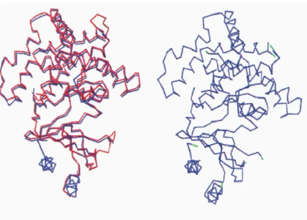 Figure 2.4: First picture, shows a target structure superposed on a template structure