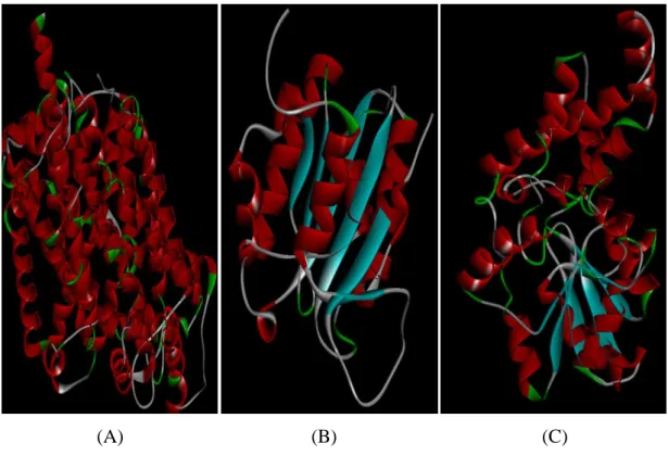 Figure  4.4:  Template  structures:  2A65  (A);  3FZEA  (B);  1SWWB  (C).  Red  bars  indicate  alpha  helices,  blue  arrows  indicate  beta  strands  and  green  arrows  indicate  coil