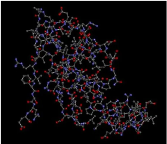Figure 3.3 Swiss-Model rpoβ Model with atomic view 