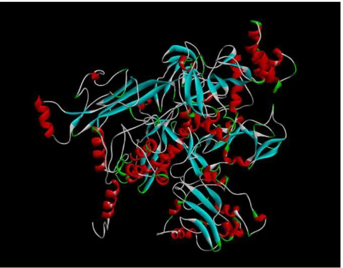 Figure 3.6 Amino Acid chain base viewing by Phyre Server 