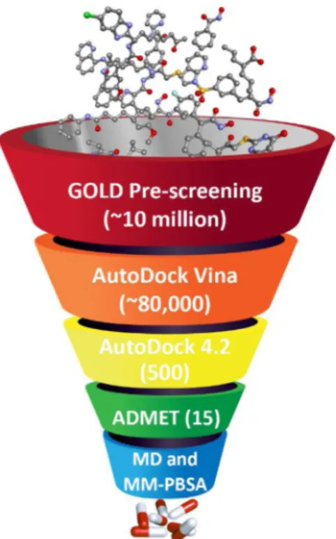 Fig. 1. Overall workflow of the structure-based virtual screening.  