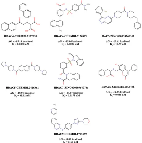 Fig. 2. Top-ranked selective compounds for class IIa HDACs obtained from Phase III of SBVS using AutoDock 4.2