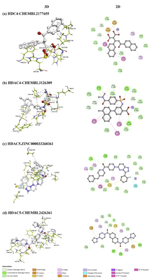 Fig. 3. 2D and 3D presentations of the chemical interactions between the top-ranked compounds and their respective HDAC isoform