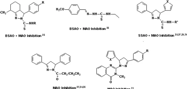 Figure 1. Pyrazole derivatives having MAO, SSAO and BSAO inhibition.