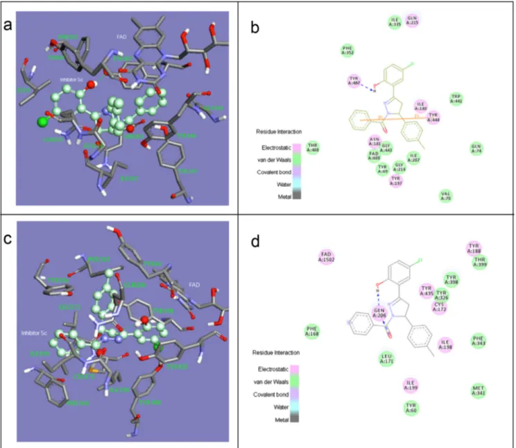 Figure 1. (a) Three-dimensional orientation of 5c (R) in the active site of MAO-A. (b) Two-dimensional picture of 5c (R) in the active site of MAO-A
