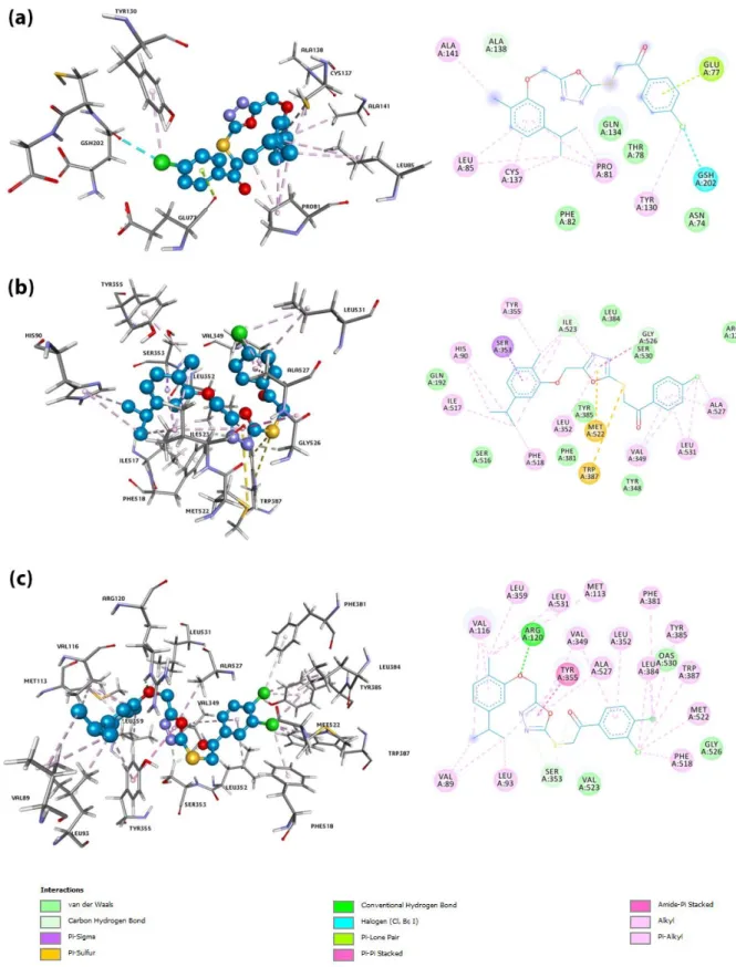 Figure 5. 3D and 2D pictures of the compound 3b in the active site of mPGES-1 enzyme (a), 3b complexed 