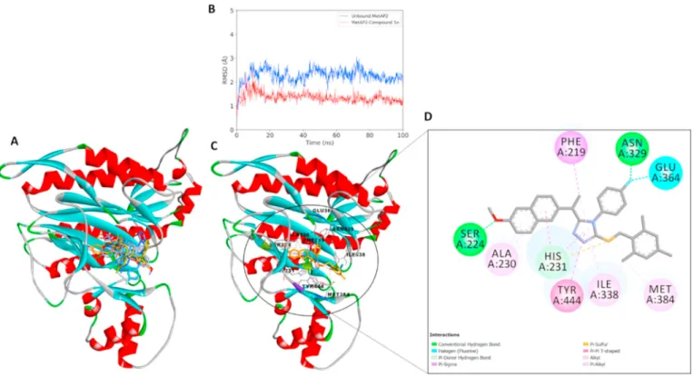 Fig. 1. Docking poses of the study compounds: the compounds bound to MetAP2 active site with different mode (A)