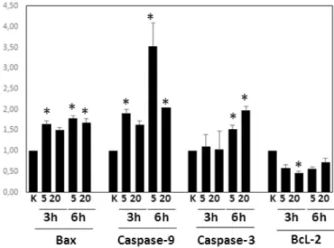 Fig. 3. AR/AKT and AR/MAPK pathway inhibition in compound 5n (SGK 636) treated cells (SGK 635 (compound 5m) was used as positive control).