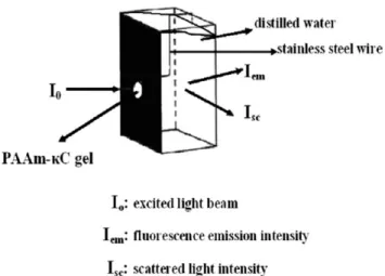 Figure 2 Fluorescence spectra of pyranine from the com- com-posite during swelling in water at (a) 40  C and (b) 50  C for 2.5 wt % jC