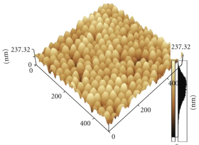 Figure 1: AFM image of polystyrene latex (320 nm) used in this study.