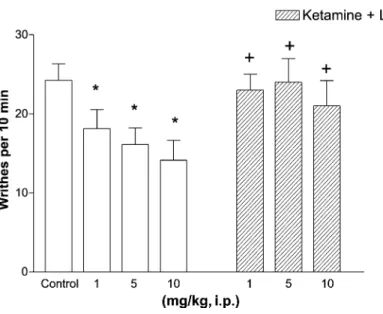 Fig. 2. L-NAME (30 Ag/mouse, i.th.) pretreatment failed to alter the antinociceptive effects of i.th