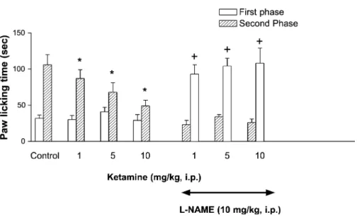 Fig. 3. Pretreatment with systemic L-NAME (10 mg/kg, i.p.) blocks the antinociceptive effects of systemic ketamine (i.p.) in the formalin-induced paw licking test