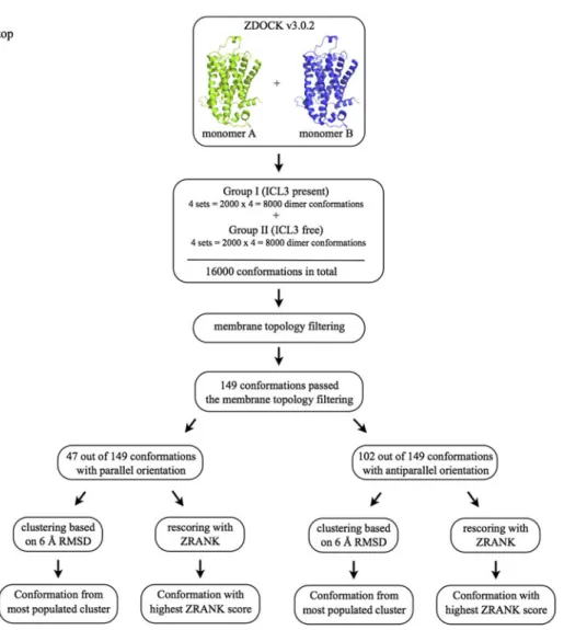 Figure 2. The ﬂowchart that describes the procedure for determining the most plausible dimer conformation among the docked poses generated by ZDOCK (Chen et al., 2003 ).