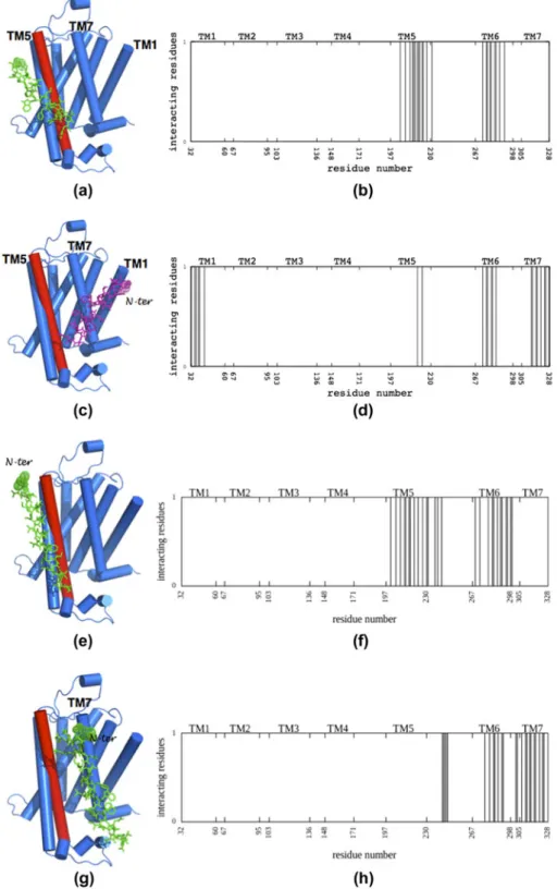 Figure 3. Snapshots of the short peptide’s pose in blind docking runs from the (a) ﬁrst cluster (green) and the (c) most-populated cluster (magenta), and their corresponding proﬁles of the neighboring residues within a radius of 5 Å in (b) and (d), respect