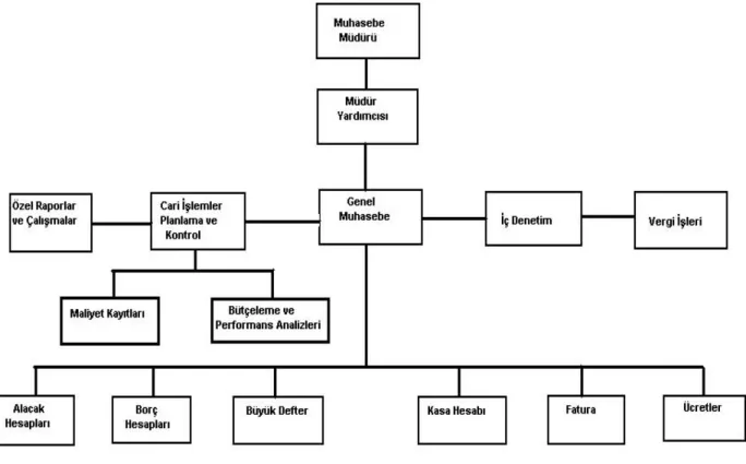 Şekil 2 : Mali İşler Bölümünde Muhasebenin Organizasyon Şeması