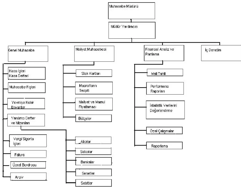 Şekil 3 : Muhasebe Organizasyon Şeması  