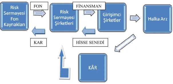 Şekil 1. Risk Sermayesi Süreci 