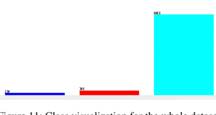 Figure 11: Class visualization for the whole dataset 