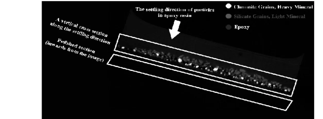 Figure  2,  for  example,  is  an  illustrative  tomographic  image of an epoxy block in which the heavier chromite  grains  settled  to  bottom  more  readily  than  relatively  lighter  siliceous  gangue