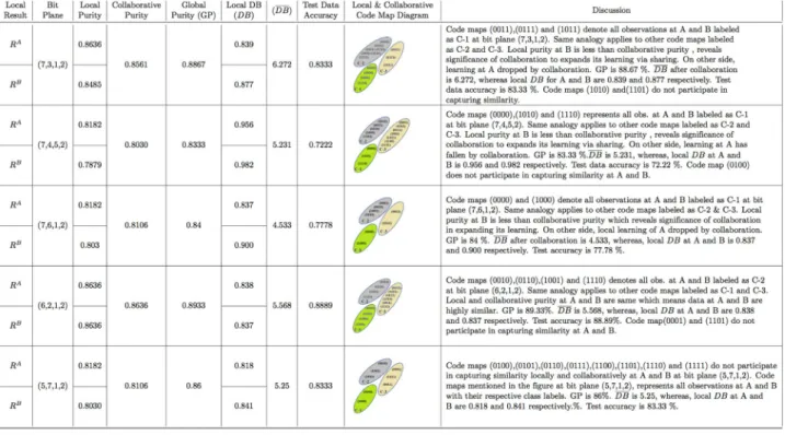 Fig 9. Iris purity measurement and code map description.
