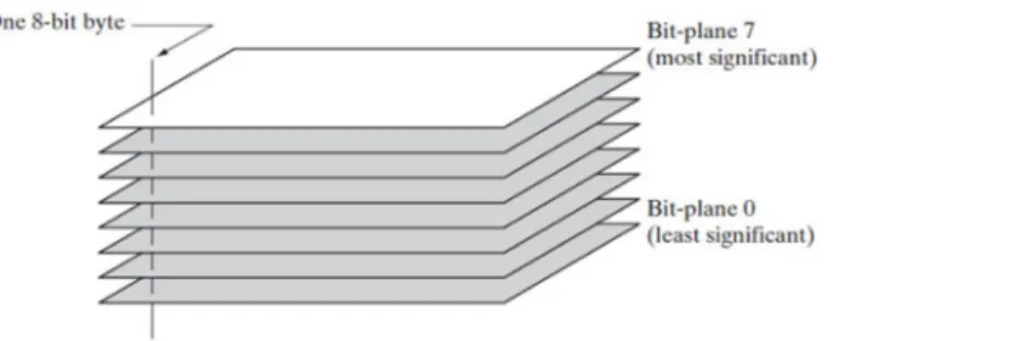Fig 2. Bit Plane Slicing description [ 36 ].