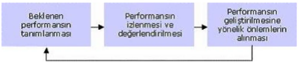 Şekil 1. Performans Yönetim Süreci 