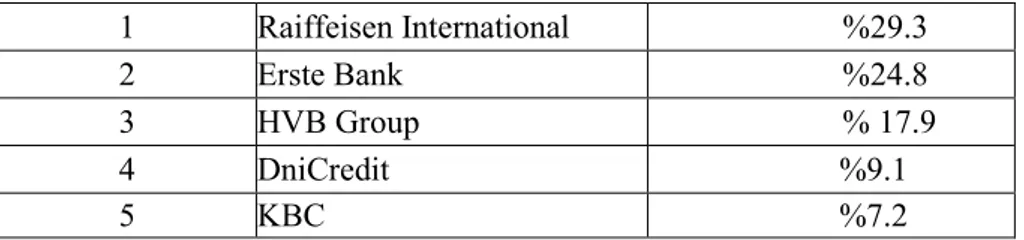 Tablo 2.2: Aktiflerin Büyüme Hızı (2004-2007 Yılları Arasında)  1  Raiffeisen International  %29.3  2  Erste Bank  %24.8  3  HVB Group   % 17.9  4  DniCredit            %9.1  5  KBC            %7.2 