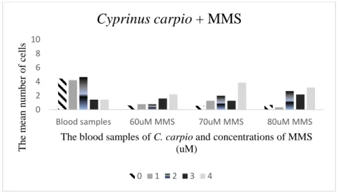 Figure 2. Comparisons between the DNA damage levels of samples (December 2019). 
