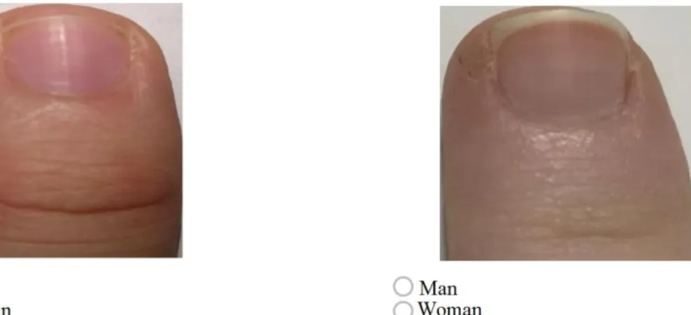 Figure 6. Question samples from the applied questionnaire. 