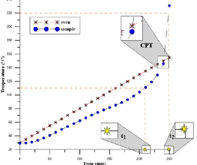 Figure 4. A typical spontaneous combustion curve. 
