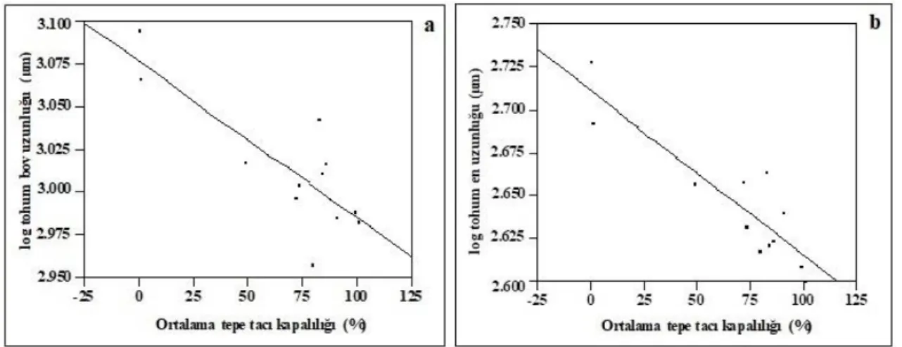 Şekil 4. a) Log tohum boy uzunluğu-ortalama tepe tacı kapalılığı (%) regresyon hattı grafiği, b) Log tohum en uzunluğu-ortalama tepe tacı 