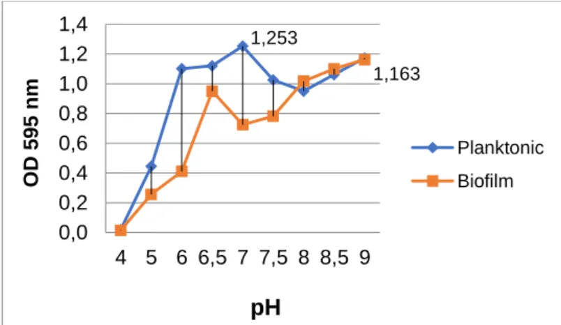 Figure 1. The effects of pH on the planktonic growth and biofilm formation of the isolate