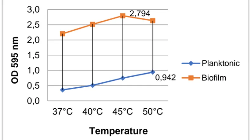 Figure 3. The effects of temperature on the planktonic growth and biofilm formation of the isolate